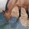 Commercial Horse Stable Rubber Flooring Tile
