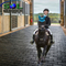 Ce Horse Barn Rubber Floor Tile Dog-Bone Interlock Rubber Paver