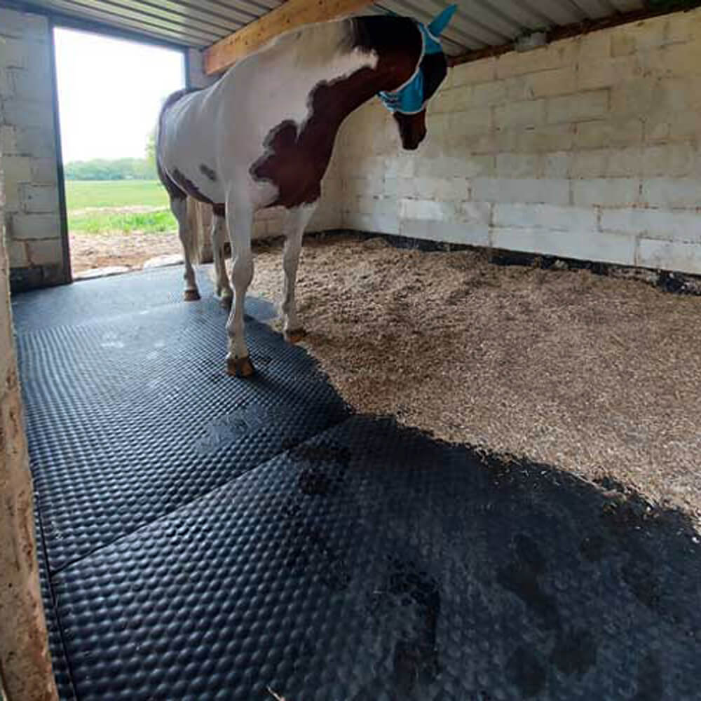 Horse stable rubber mat (3)