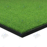  Free Weight Areas Artificial Turf Tile with 20mm Rubber Underpad 1mx1m