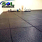 High Density Shock Absorbing Interlocking Rubber Tile Gym Mat